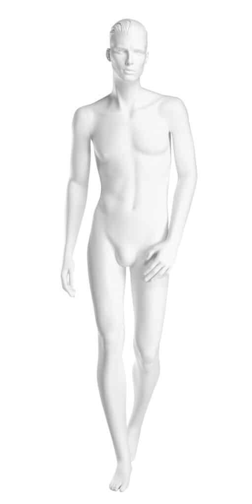 Male Mannequin