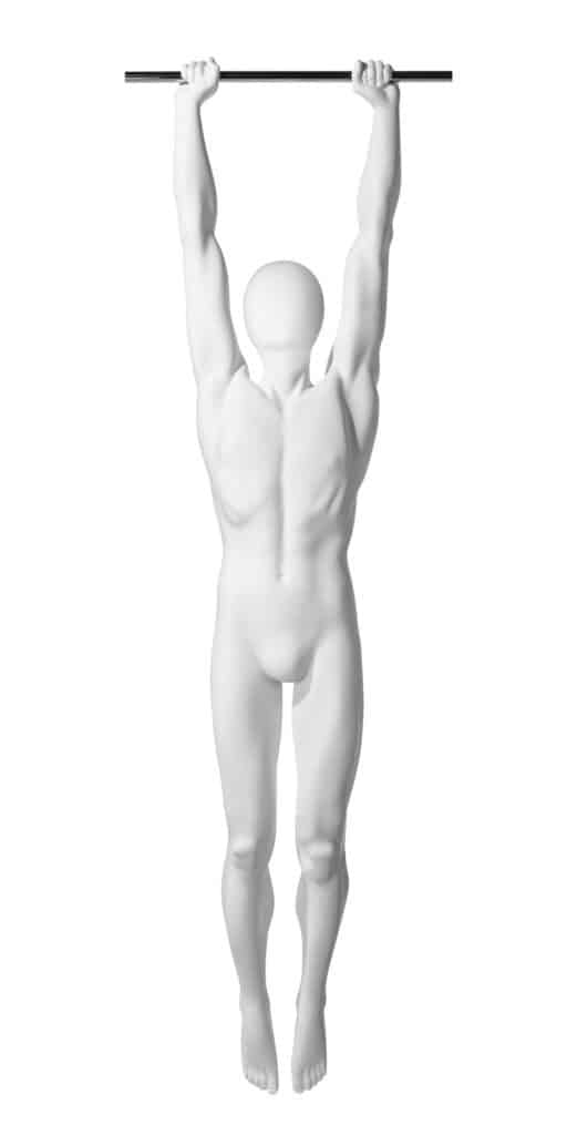 Male Mannequin by Mondomannequins